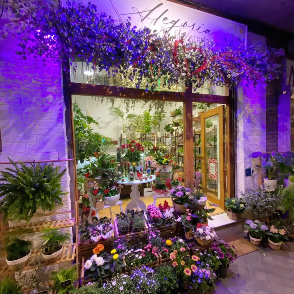 por-qué-somos-los-mejores